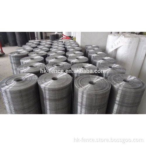1/4" mesh hot-dipped galvanized welded wire mesh